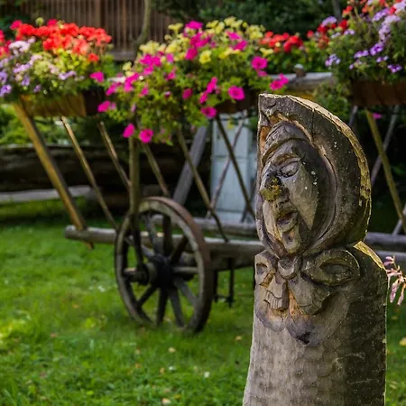 Hotel Goscinna Chata Wysowa-Zdrój